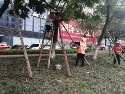 微信圖片_202107271011274.jpg